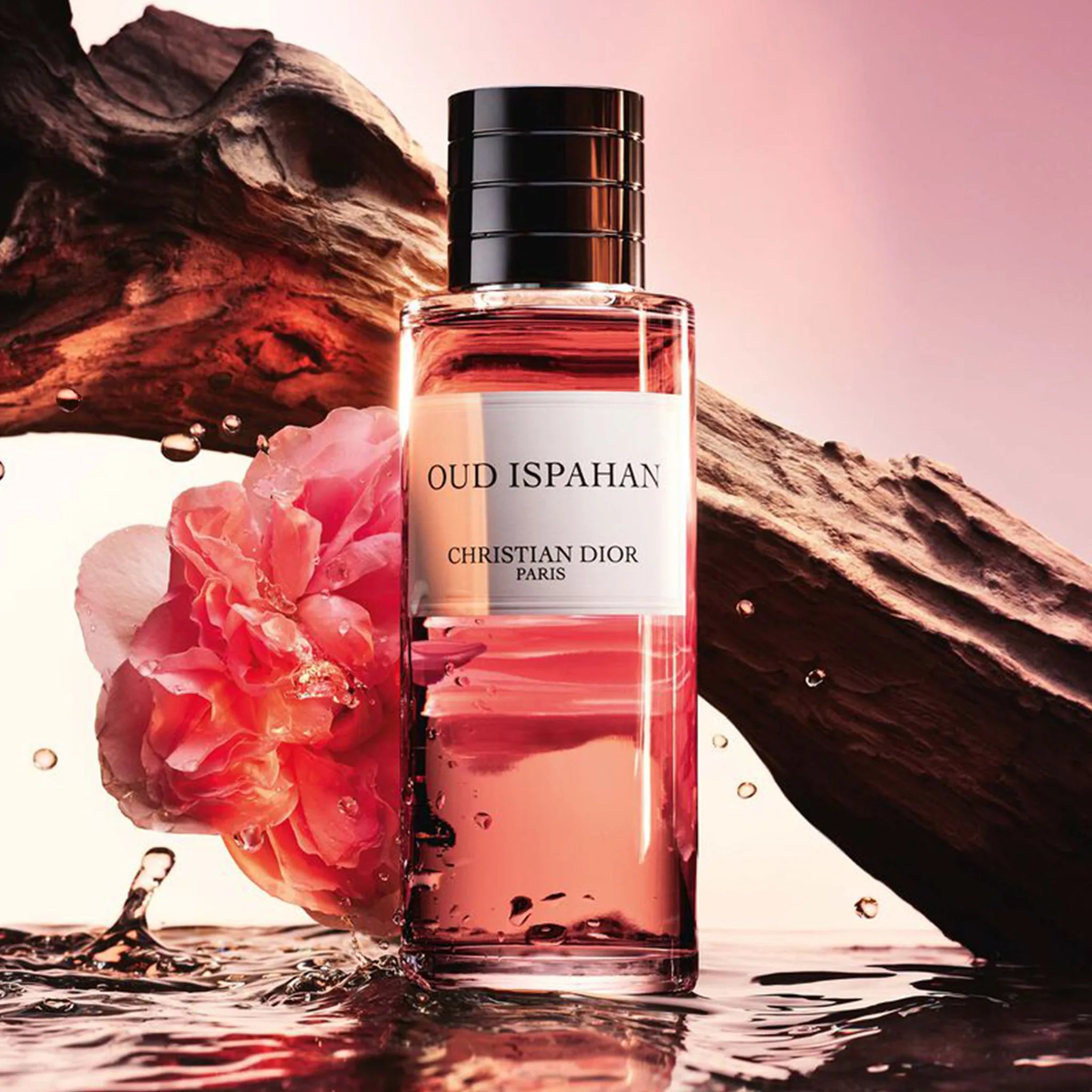 Detail view of Dior Oud Ispahan Fragrance 250ml